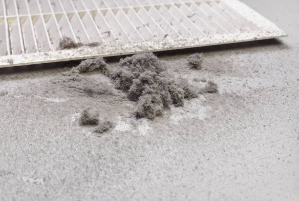Best General Air Duct Cleaning  in Claxton, GA