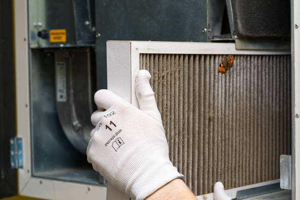 Best Professional Duct Cleaning Services  in Claxton, GA