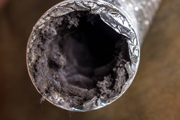 Best Affordable Air Duct Cleaning  in Claxton, GA